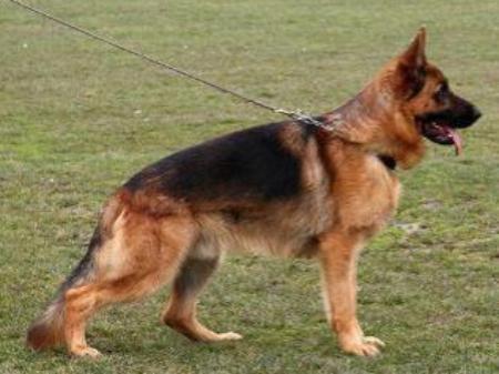 Joop vom Heinrichplatz