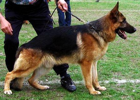 V KANTO von der Luisenstraße