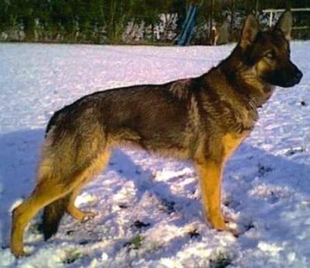 Cinda van Casa della Torba