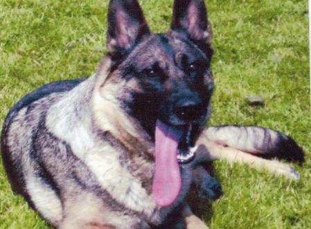 Limasmythe Rutland Remus at Arkashan