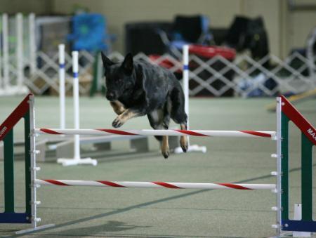 P.A.M. Nando von Sontausen