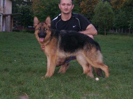 2EXC  CAC  RES CACIB bella v casian