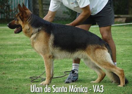 V1COAPA- VA3COLOMBIA Ulan de Santa Mónica