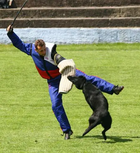 SG Dix z Perstatskeho Mlyna