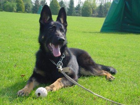 Evitha van Hildernisse