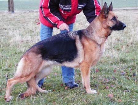 V Unna vom Wiesenring