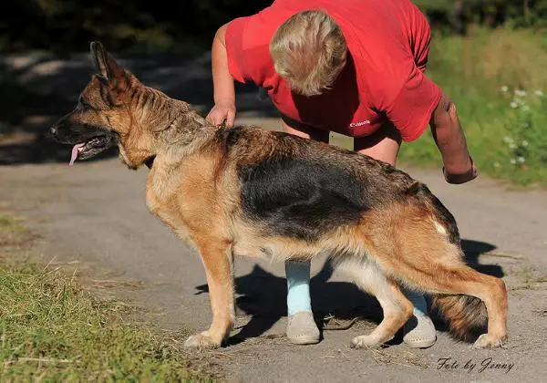 V Roxy vom Kaufungerwald