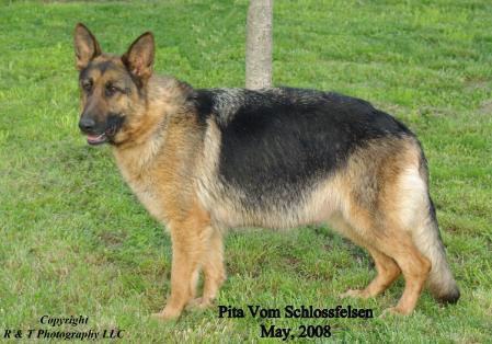 Pita vom Schlossfelsen