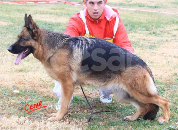 SG2 (SPAIN) Argentina de club de campo