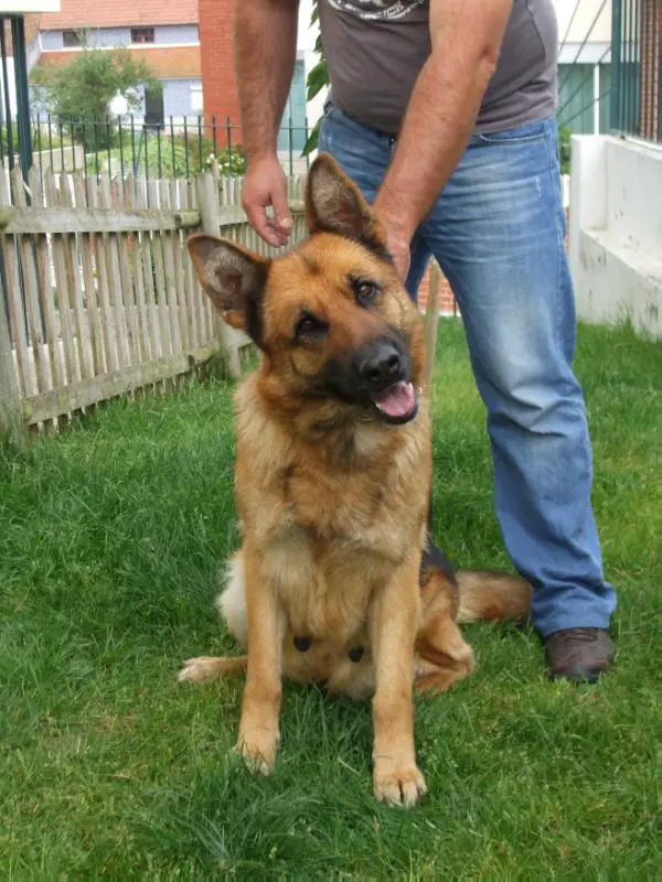 Melance da Quinta do Ribeiro