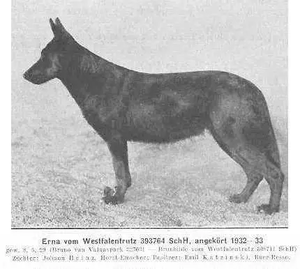 Erna vom Westfalentrutz