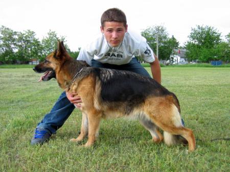 CAC HFGY SG1 Freia of Assaracus