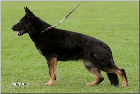 Okka von der Schiffslache