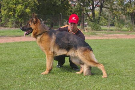 SG1 Chack Schreidon