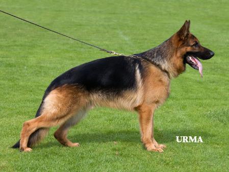 VA4 (FL 2009) Ebafarmens Ghandi