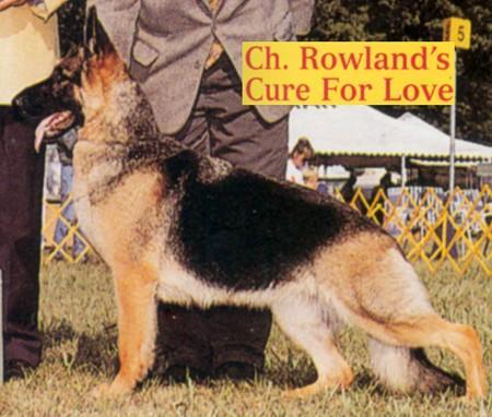 CH (US) Rowland's Cure for Love