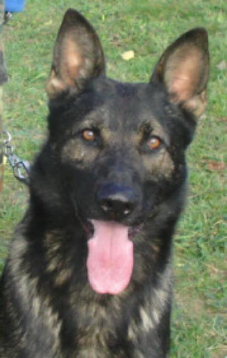 SG Quai vom Brauhaus