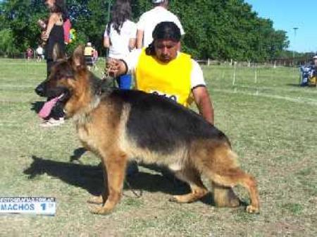 Jumbo Von Klinsmann