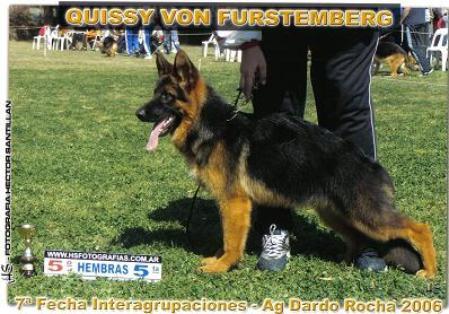 Quissy von Furstemberg.