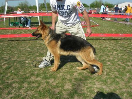 V(RO) Thorhaus Gerda