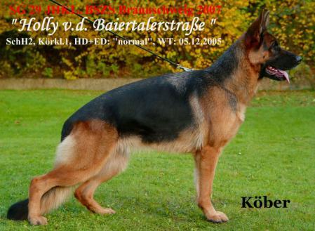 V, (SG29 JHKL BSZS 2007) Holly von der Baiertalerstraße