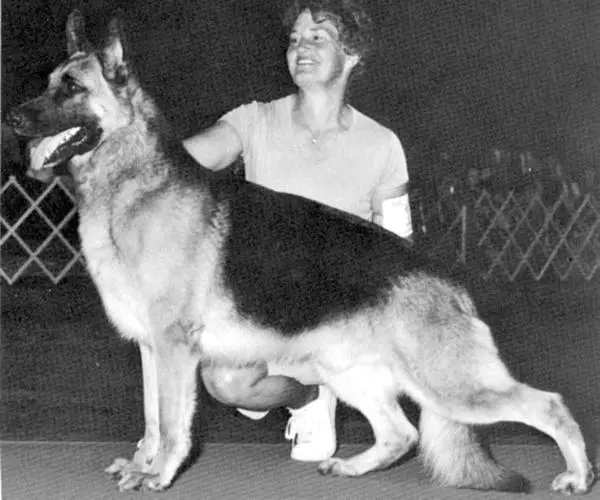 CH (US) Kris-T'S Grant Of Ter-R