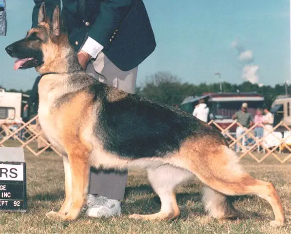 CH (US) Cobert's Magnolia