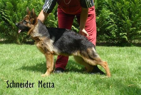 Schneider Metta