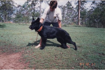 Malachi Pinga