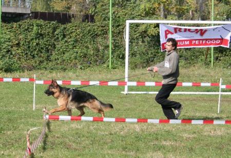 Franco mit Spiellust