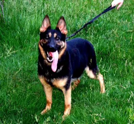 Kövári-Zúzó Lili