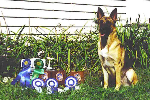 BrownHills LetsBlowThisJoint