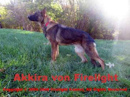 Akkira von Firelight