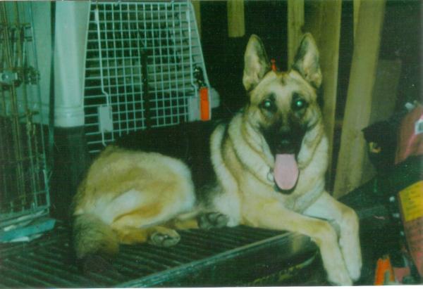 Tripl'H Bouncing Bali