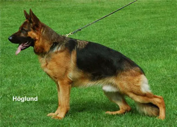 V 1 Quattrogårdens Ux