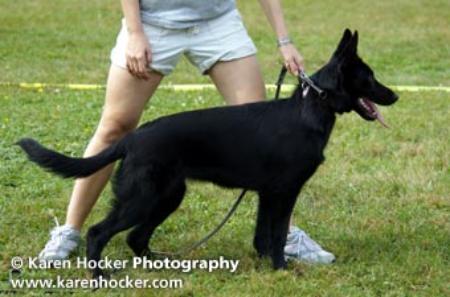 Bree von der Mohnblume