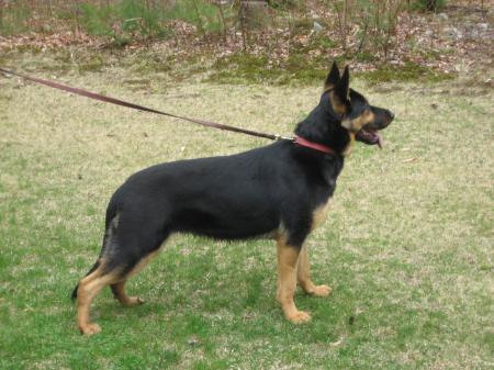 Trish vom Osthugelland