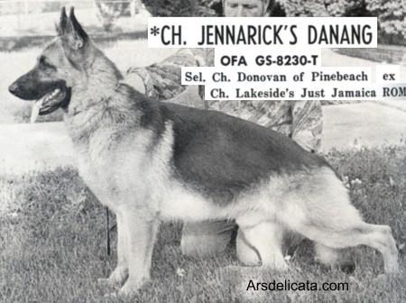 CH (US) Jennarick'S Danang