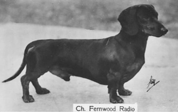 ENG CH Fernwood Radio