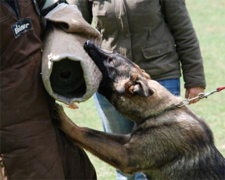 SG Escha van Tiekerhook