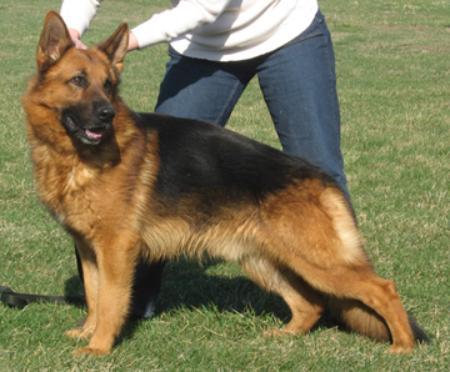 Wilke Vom Overledingerland