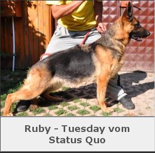 Ruby-Tuesday vom Status quo