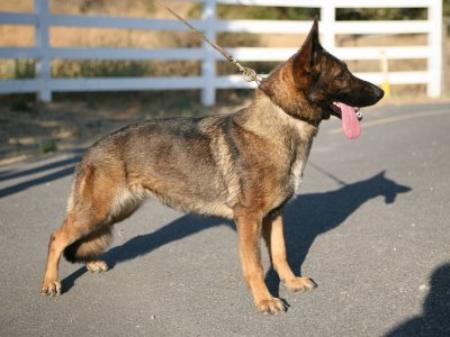 Evita van Tiekerhook