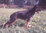 Hampa