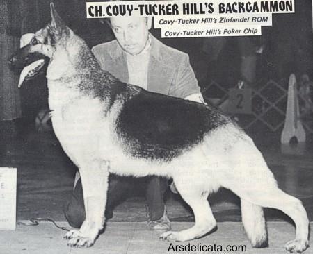 CH ( USA) Covy-Tucker Hill's Backgammon