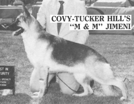 CH Covy-Tucker Hill's M & M Jimeni