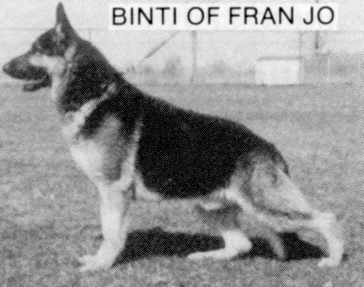CH (US) Binti of Fran-Jo