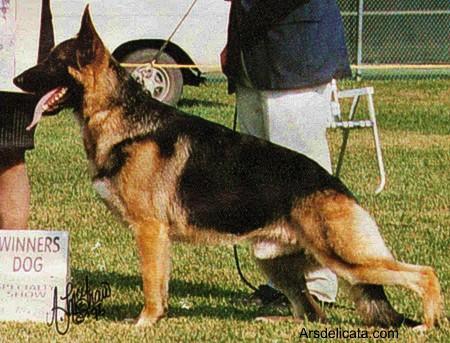 SEL CH (US) Ben-Jo's Surprize Package