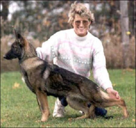 Sunriz IQ of Hylock Merivern