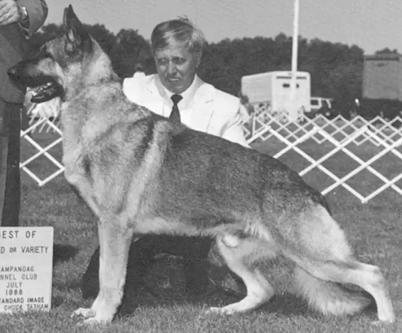 CH (US) Rustic's Valor